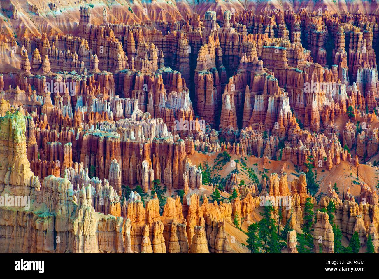 Felsformationen und Hoodoos, Bryce Canyon bei Sonnenaufgang, Bryce Point, Utah, Südwesten, Stati Uniti, Nordamerika Foto Stock