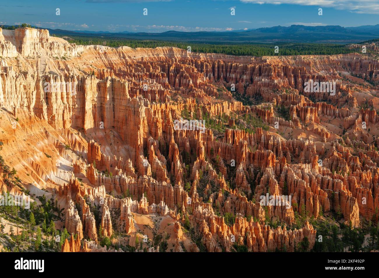 Felsformationen und Hoodoos, Bryce Canyon bei Sonnenaufgang, Bryce Point, Utah, Südwesten, Stati Uniti, Nordamerika Foto Stock