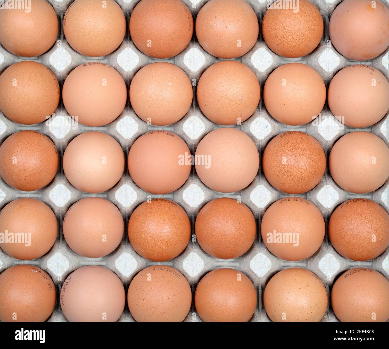 Braune Hühnereier in einer palette, frische Eier vom Markt, Foto Stock
