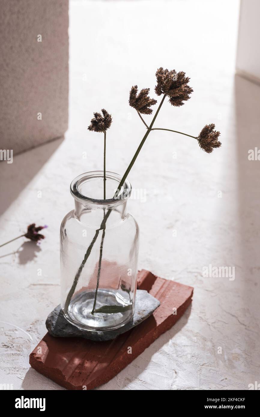 Fiori secchi in vaso di vetro su pietre naturali podio alla luce del sole. Ancora vita. Foto Stock