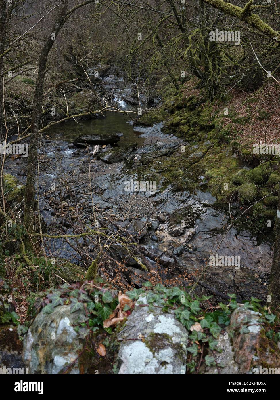 Guardando a monte dal ponte sul fiume Cur a Balliemeanoch. Strachur. Argyll e Bute. Scozia Foto Stock