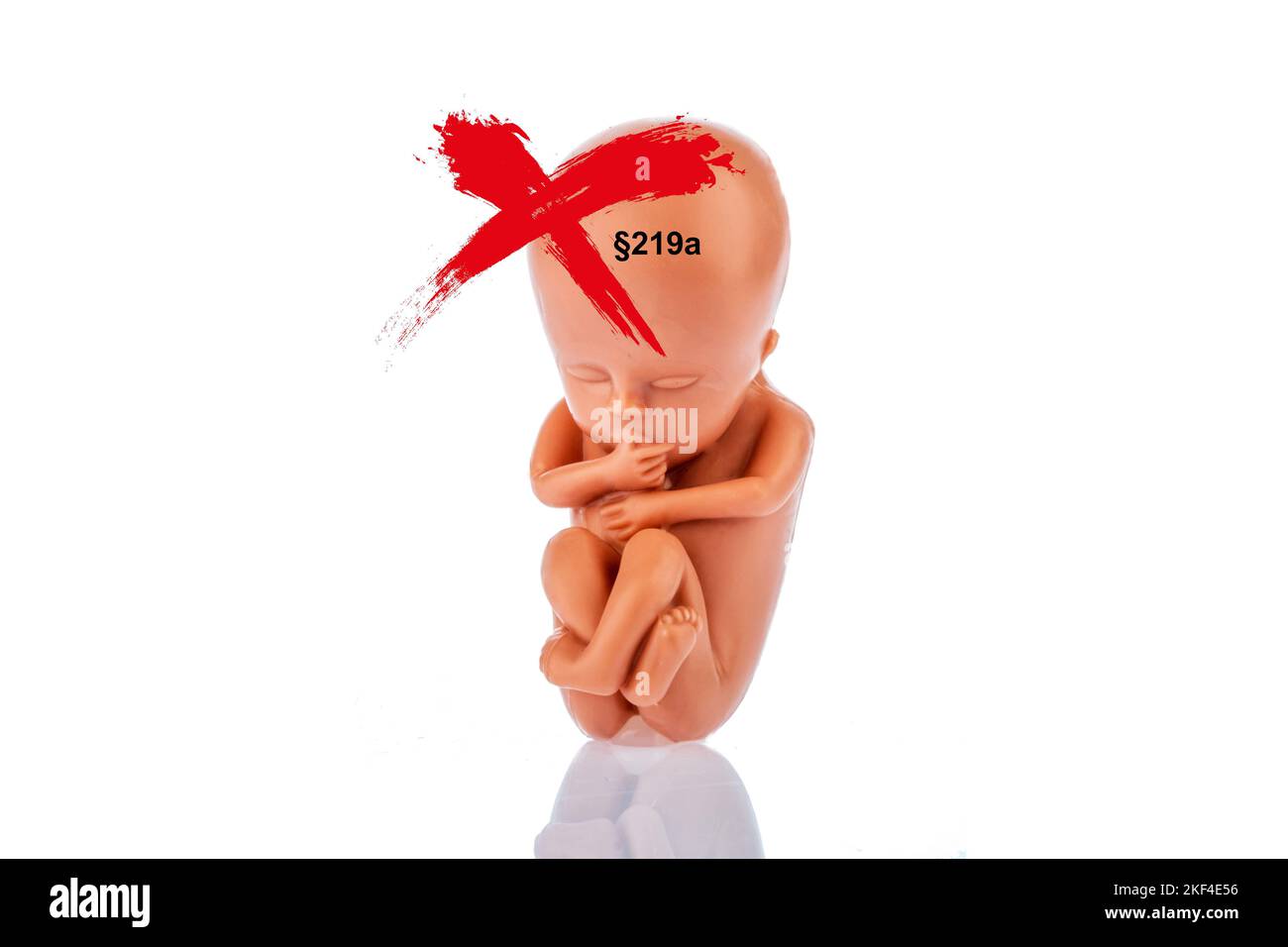 Ein 12-Wochen Alter Emybro aus Plastik. Modell für Schwangerschaft, Abtreibung und Verhütung. Schutz von ungeborenem Leben, §219a, Foto Stock