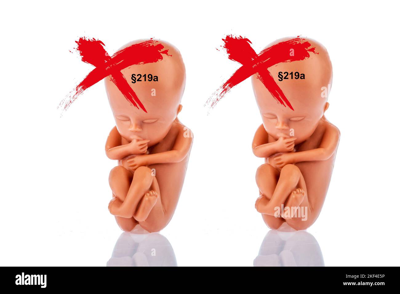 Ein 12-Wochen Alter Emybro aus Plastik. Modell für Schwangerschaft, Abtreibung und Verhütung. Schutz von ungeborenem Leben, §219a, Zwillinge, Foto Stock