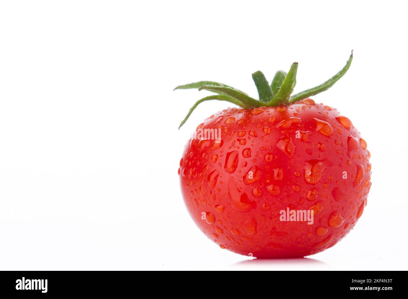 Frische rote Tomaten, Freisteller, Textraum, Frucht, Früchte, Gemüse, Pflanze, Pflanzen, Tomatenfrucht, Wassertropfen, Foto Stock