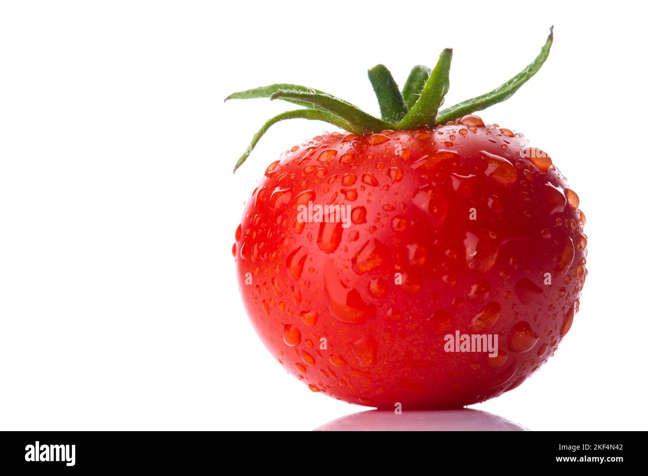 Frische rote Tomaten, Freisteller, Textraum, Frucht, Früchte, Gemüse, Pflanze, Pflanzen, Tomatenfrucht, Wassertropfen, Foto Stock