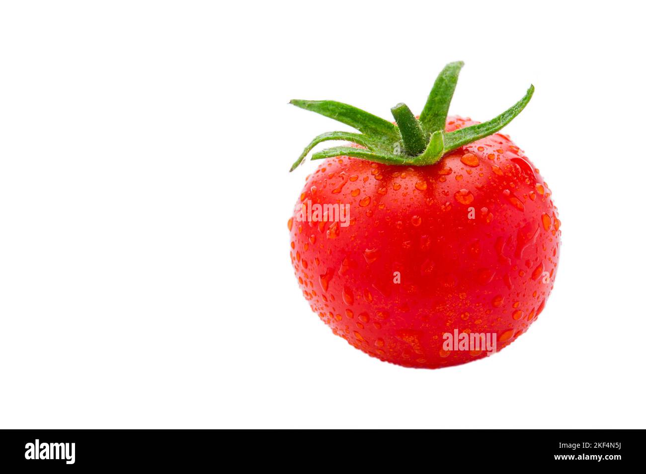 Frische rote Tomaten, Freisteller, Textraum, Frucht, Früchte, Gemüse, Pflanze, Pflanzen, Tomatenfrucht, Wassertropfen, Foto Stock