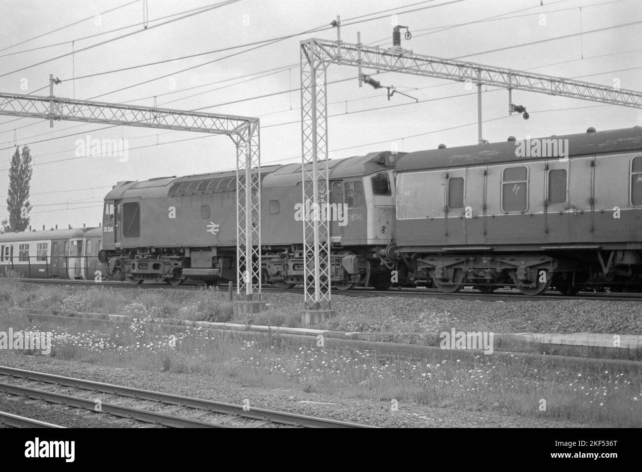 originale british rail diesel locomotive classe 25 numero 25324 sul servizio di shunting vicino a rugby fine 1970s inizio 1980s Foto Stock