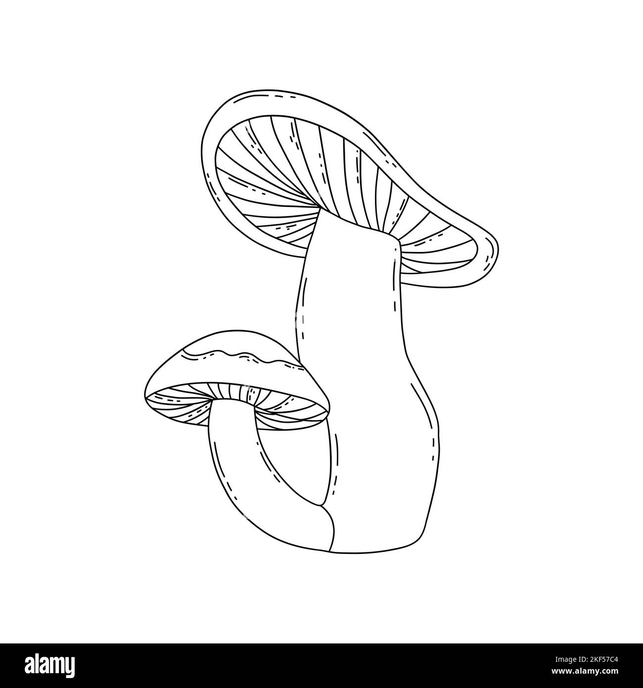 Due funghi forestali in uno, grande e piccolo. Disegno vettoriale bianco e nero isolato Doodle disegnato a mano. Semplice scheda o stampa Illustrazione Vettoriale