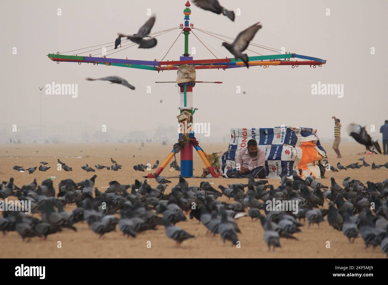 Le colombe o i piccioni stanno volando nella marina Beach Chennai. Foto Stock