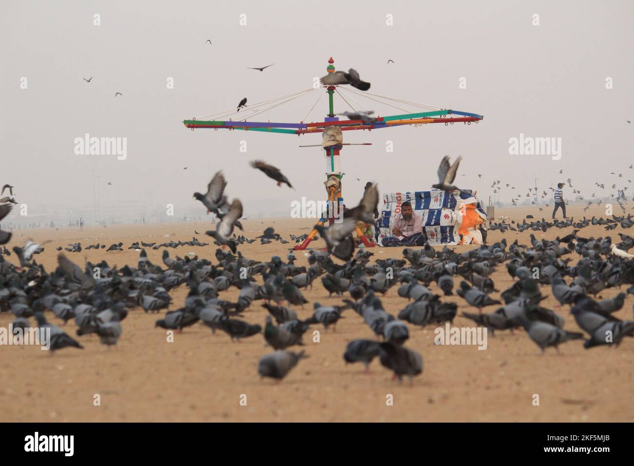 Le colombe o i piccioni stanno volando nella marina Beach Chennai. Foto Stock