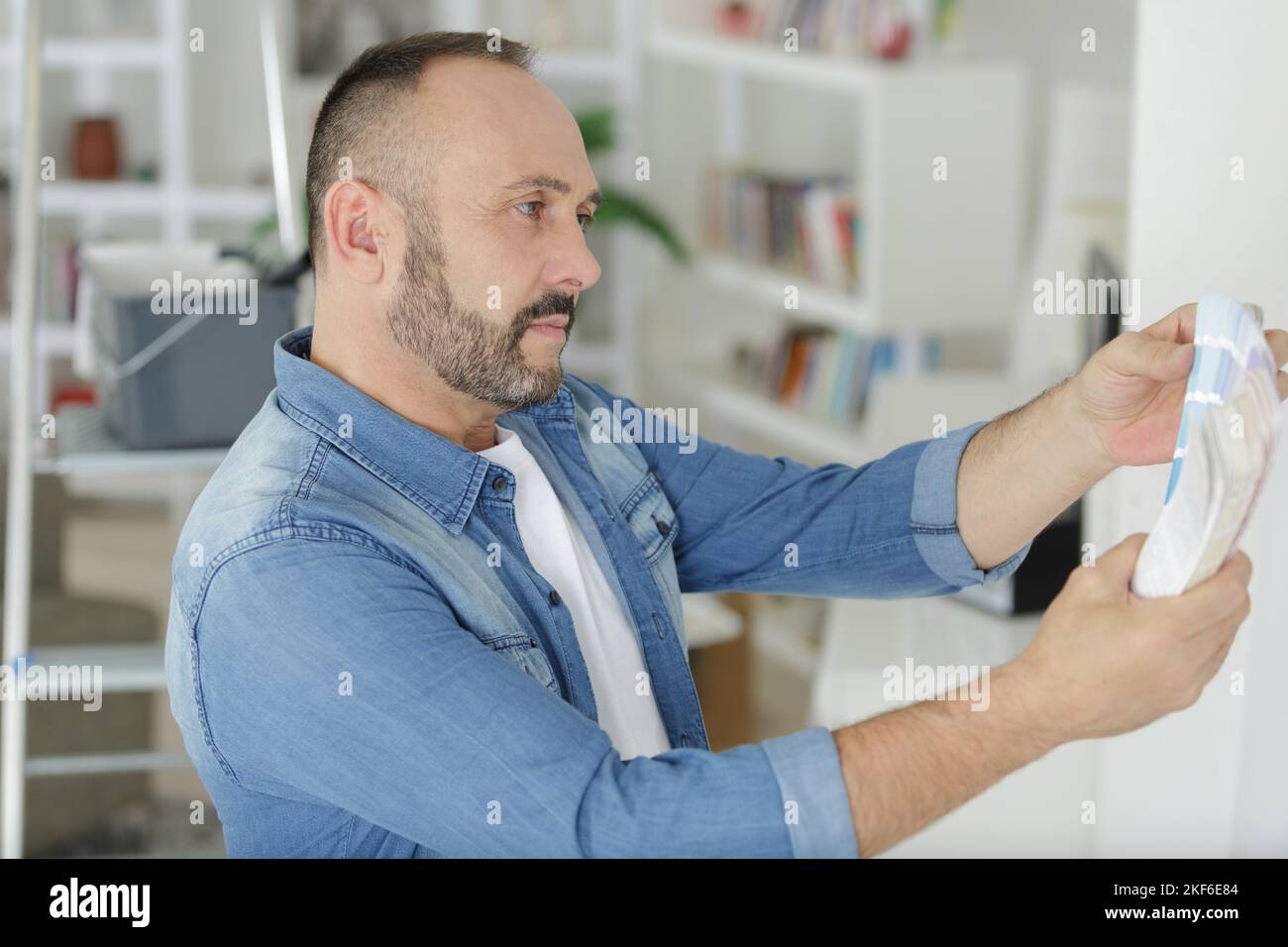 designer scelta del colore per la pittura delle pareti Foto Stock