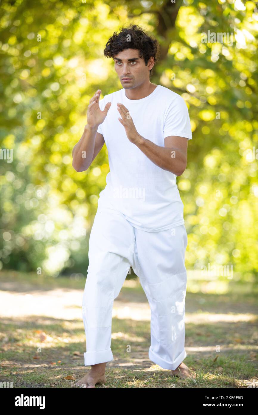 il giovane addestra capoeira nel parco Foto Stock