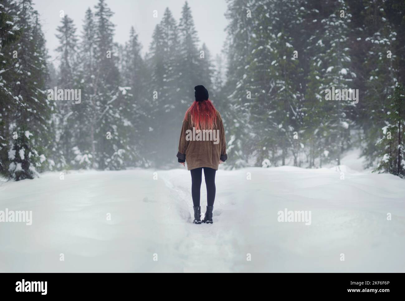 Giovane donna con lunghi capelli rossi in piedi in una pineta Nordmarka innevata a Oslo, Norvegia Foto Stock