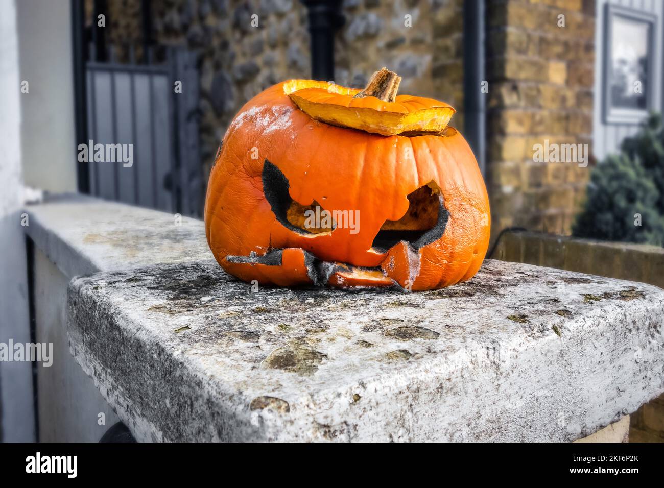 Halloween testa di zucca malvagia guardando fuori su una parete anteriore Foto Stock