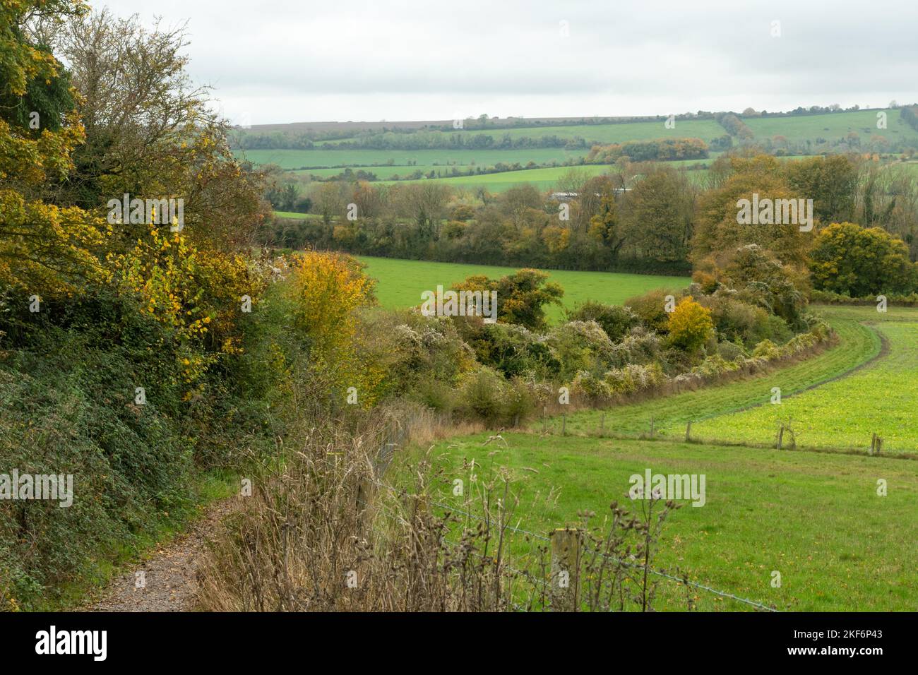 Campagna dell'Hampshire in autunno o novembre, vista dalla South Downs Way vicino a Exton, Inghilterra, Regno Unito. Paesaggio del South Downs National Park Foto Stock