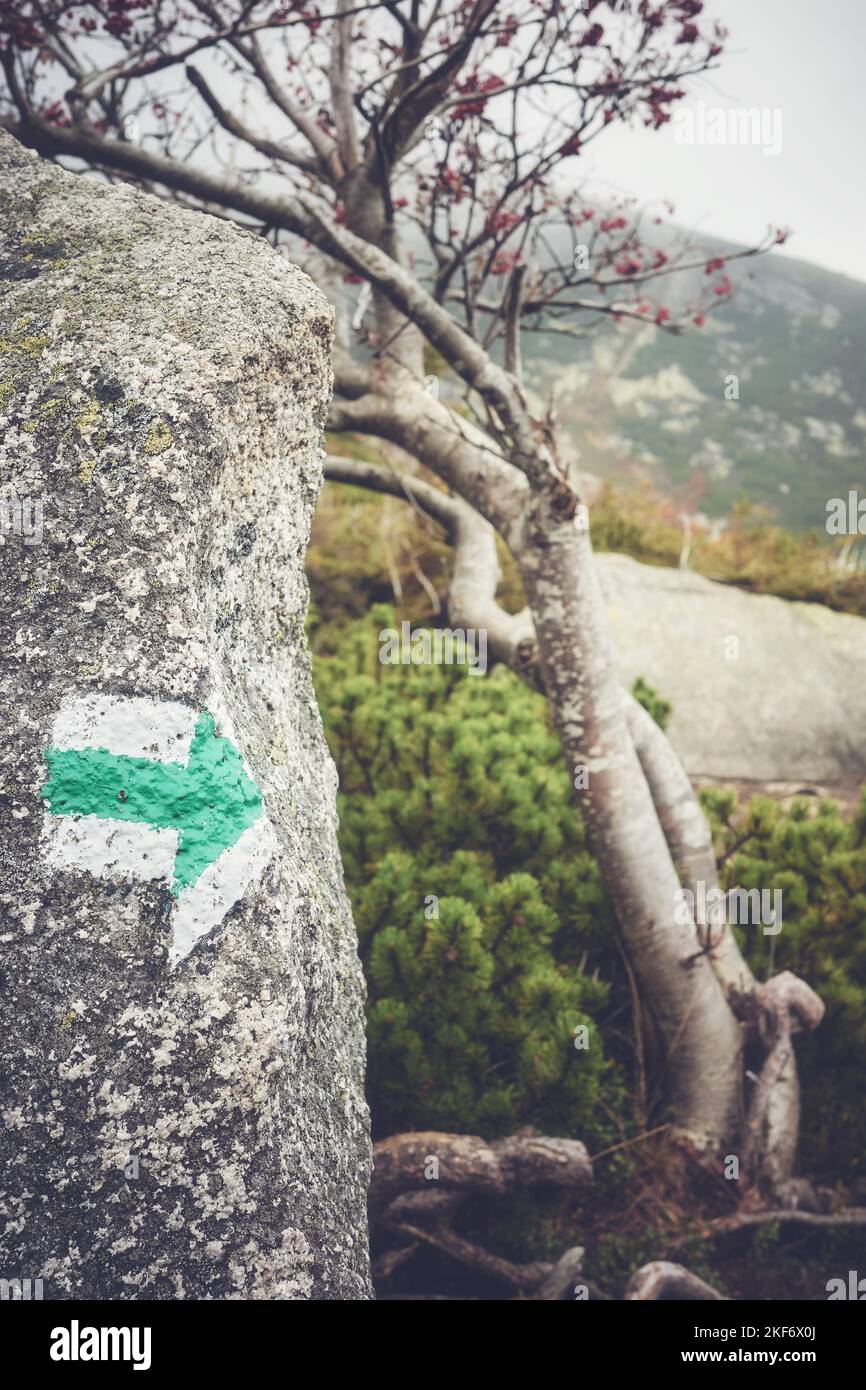 Freccia verde tracciata su una roccia, tonalità di colore applicata, messa a fuoco selettiva. Foto Stock