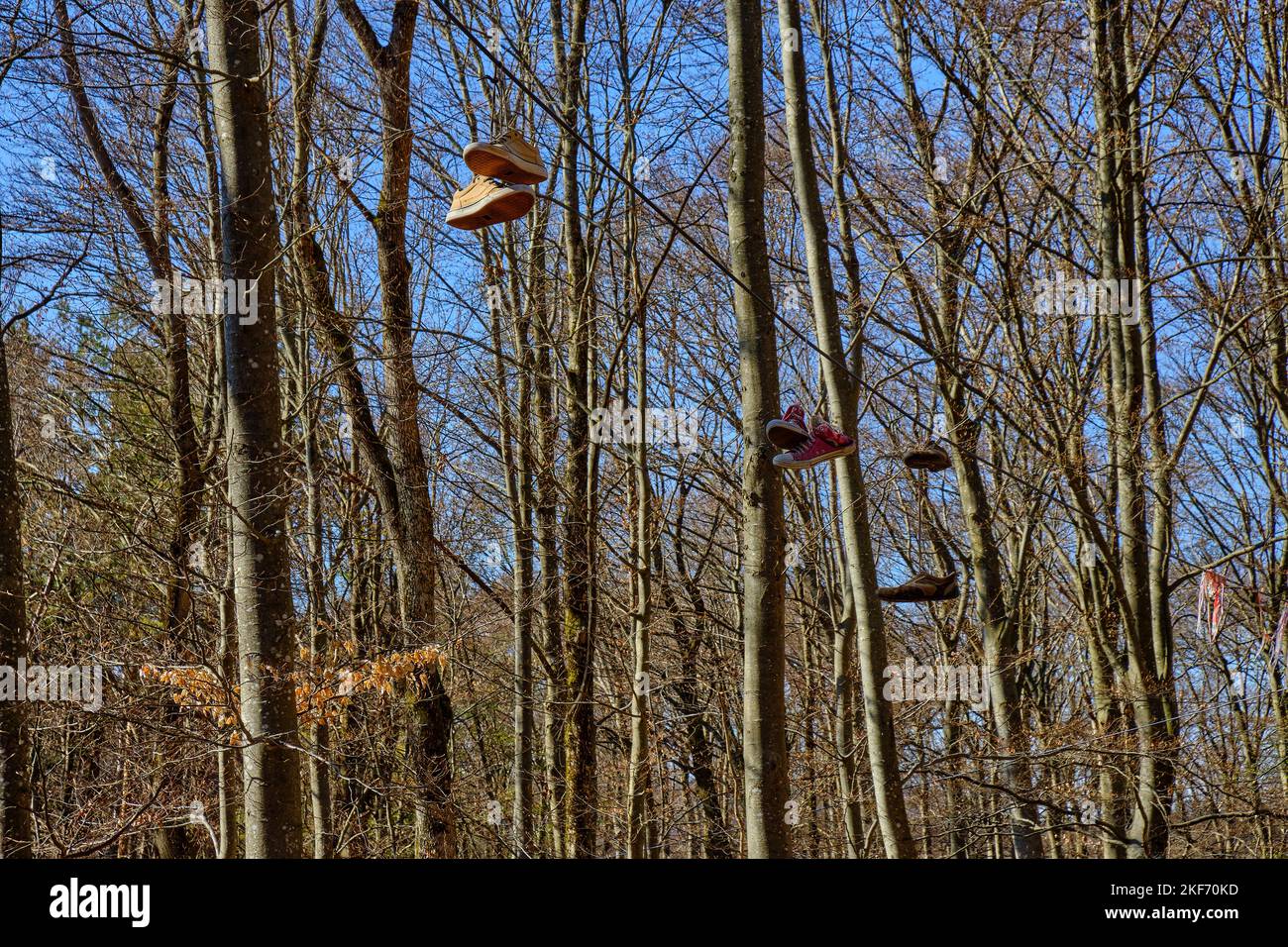 Coppie di scarpe appendono giù da una linea nel bosco in primavera. Foto Stock