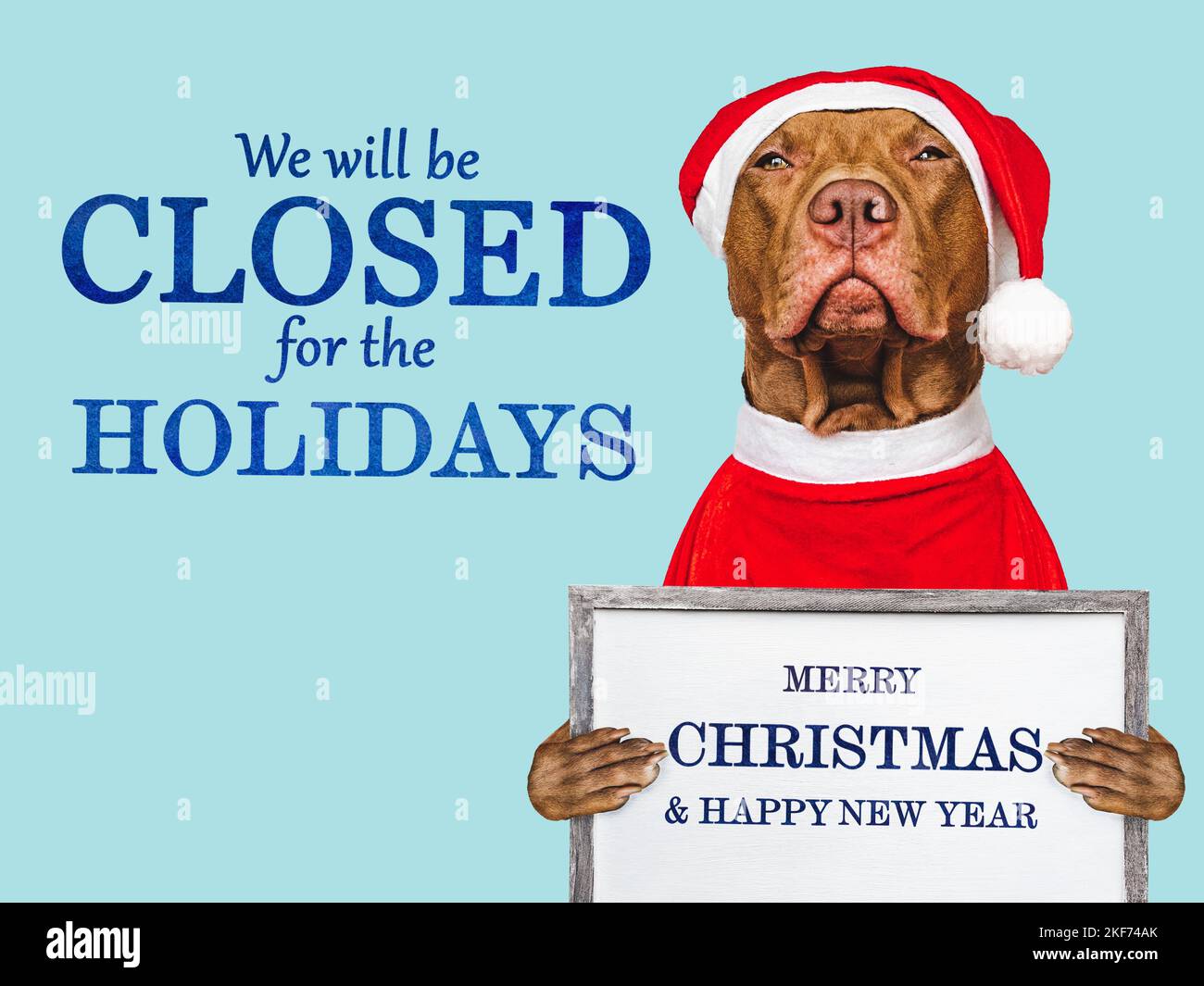 Saremo chiusi per le festività Foto Stock