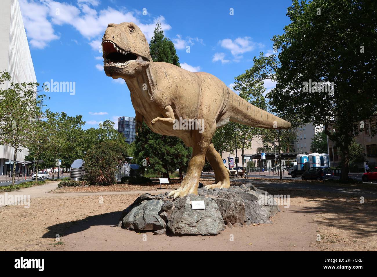 Un modello a grandezza naturale di un Tyrannosaurus rex di fronte al Senckenberg Museum di Francoforte, Germania Foto Stock