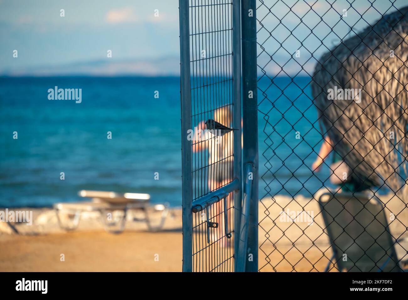 Brown Sparrow siede su Gray Metal Fence contro lo sfondo della spiaggia con turisti, Mar Ionio Blu, Monti Balcanici e cielo con le nuvole Grecia Foto Stock