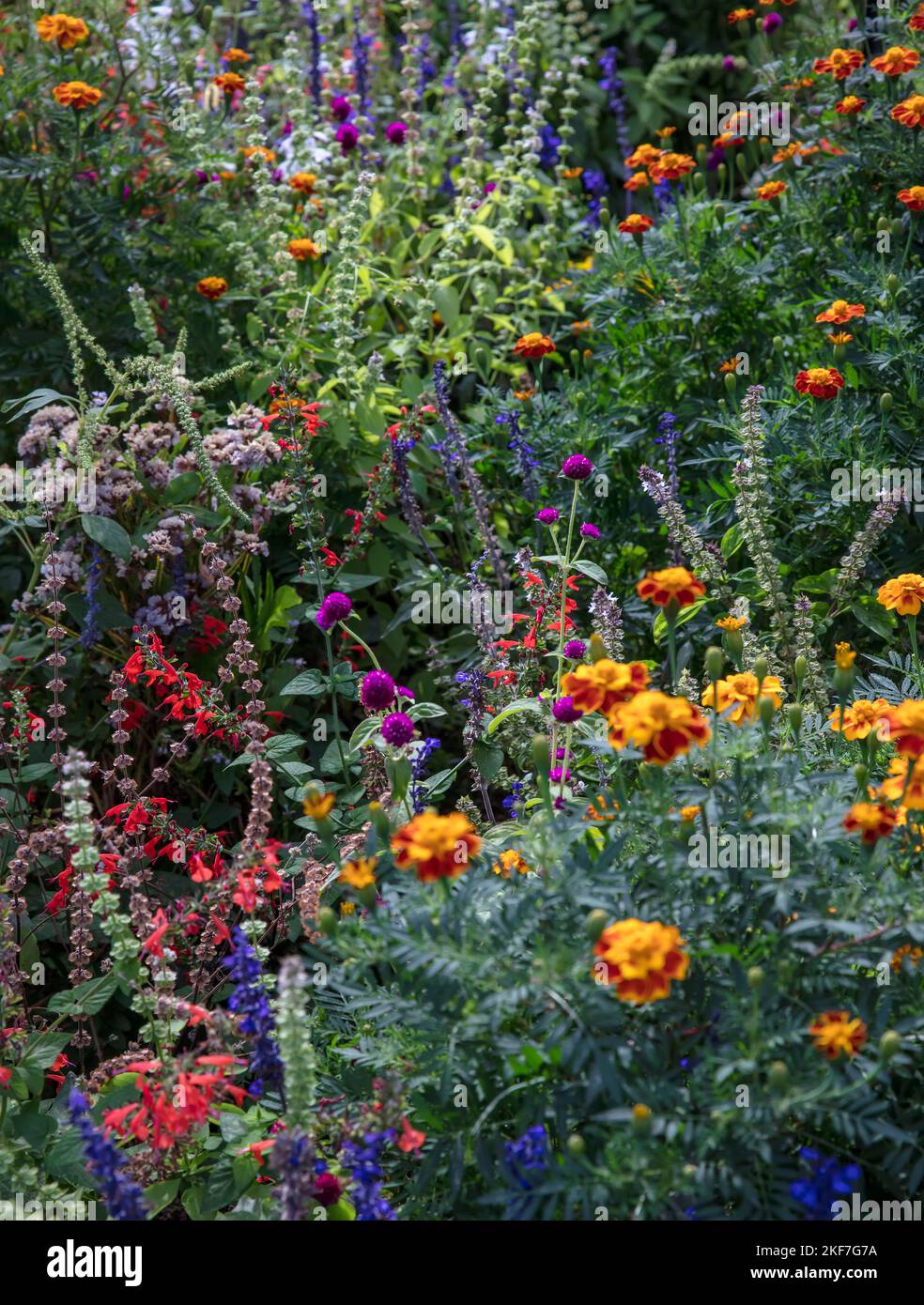 Fiori e piante nel giardino dell'Alhambra, Granada, Spagna. Foto Stock