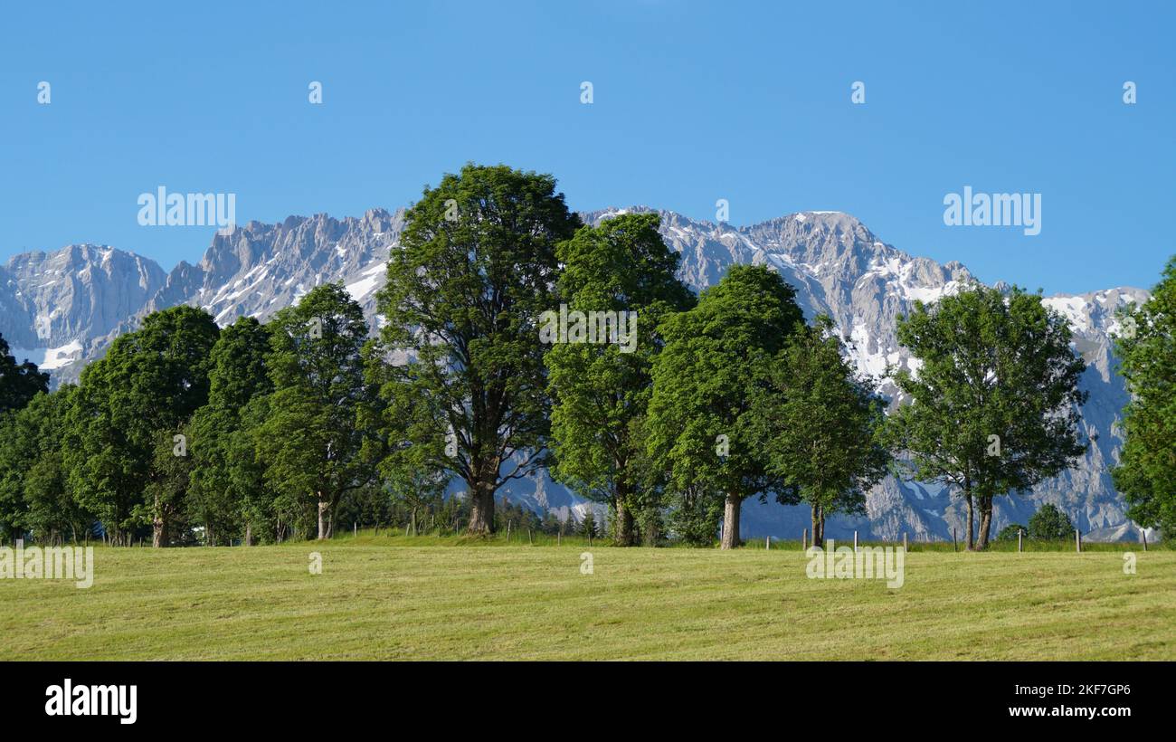 Paesaggio alpino verdeggiante e paesaggistico con splendidi alberi e Alpi innevate della regione di Dachstein-Schladming in Austria (Schladming, Steiermark o Stiria Foto Stock