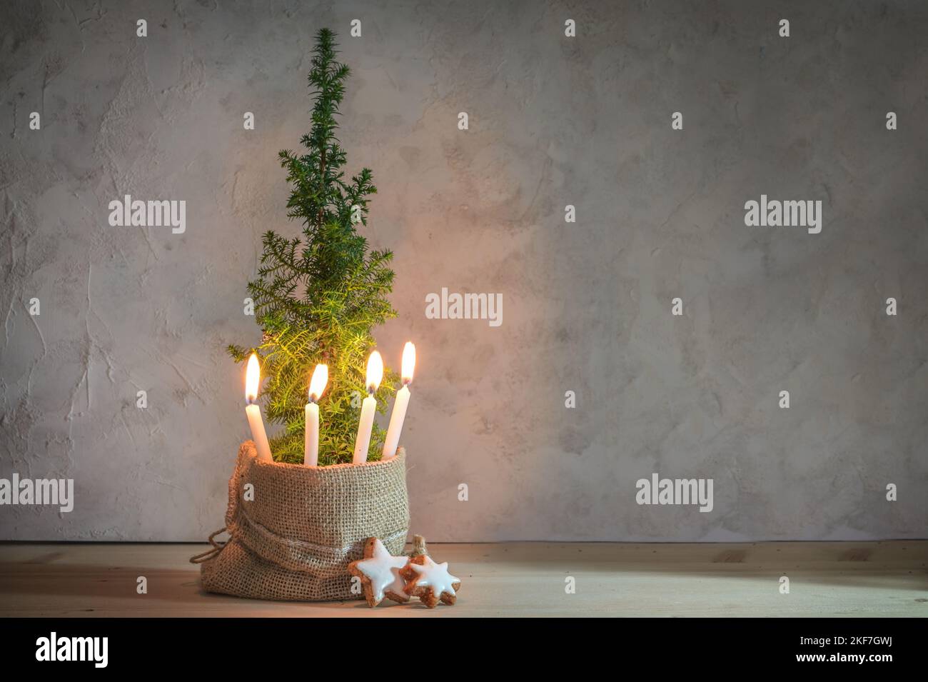 Corona d'Avvento alternativa, quattro candele accese con una fiamma su una piccola pianta di conifere come simbolo dell'albero di Natale, grande spazio di copia Foto Stock