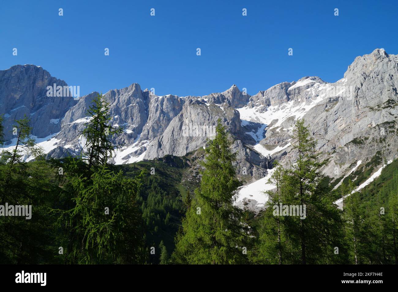 Paesaggio alpino verdeggiante e paesaggistico con splendidi alberi e Alpi innevate della regione di Dachstein-Schladming in Austria (Schladming, Steiermark o Stiria Foto Stock