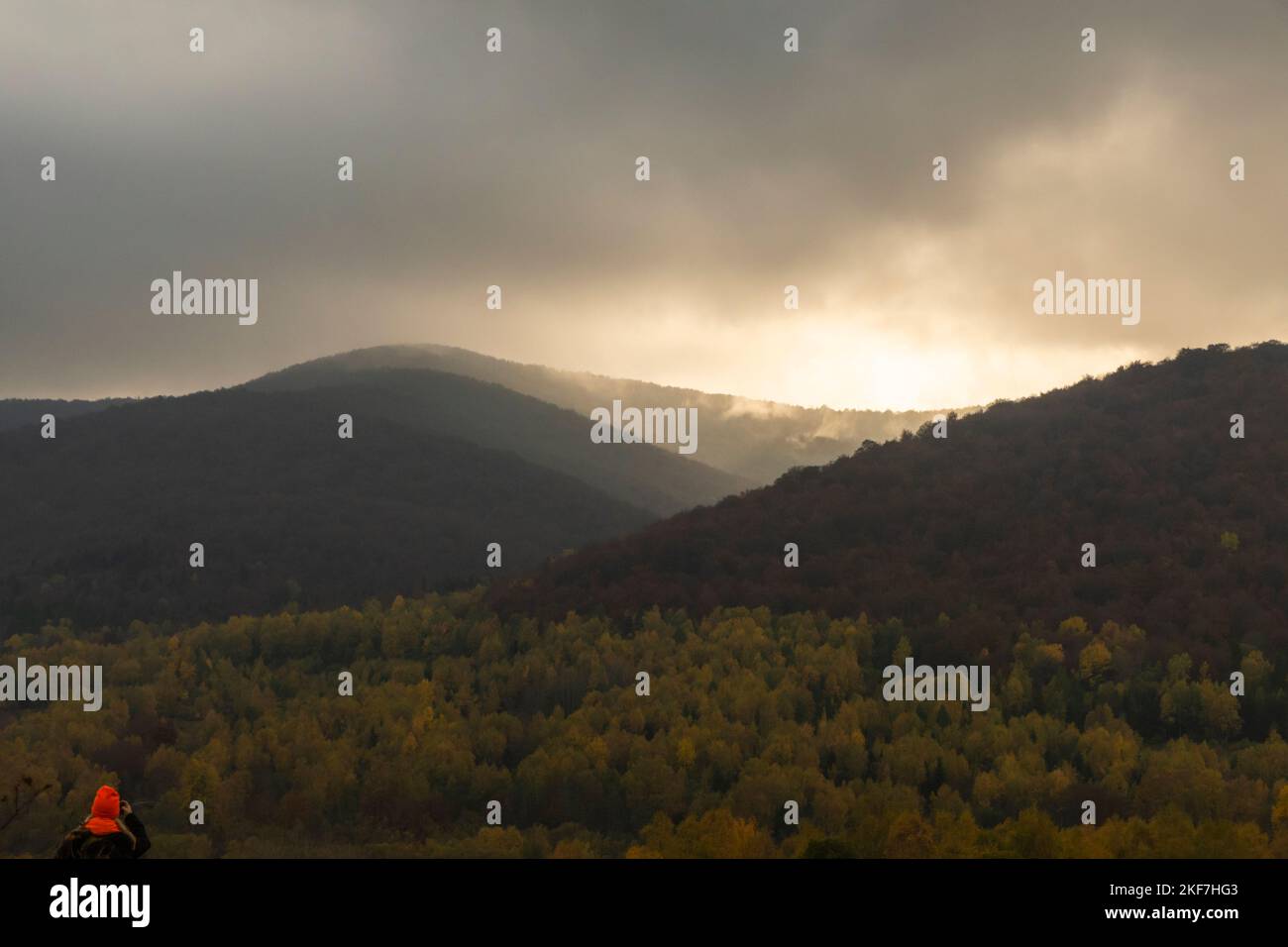 Vista sul sentiero per Tarnica - la montagna più alta di Bieszczady sul territorio polacco. Foto Stock