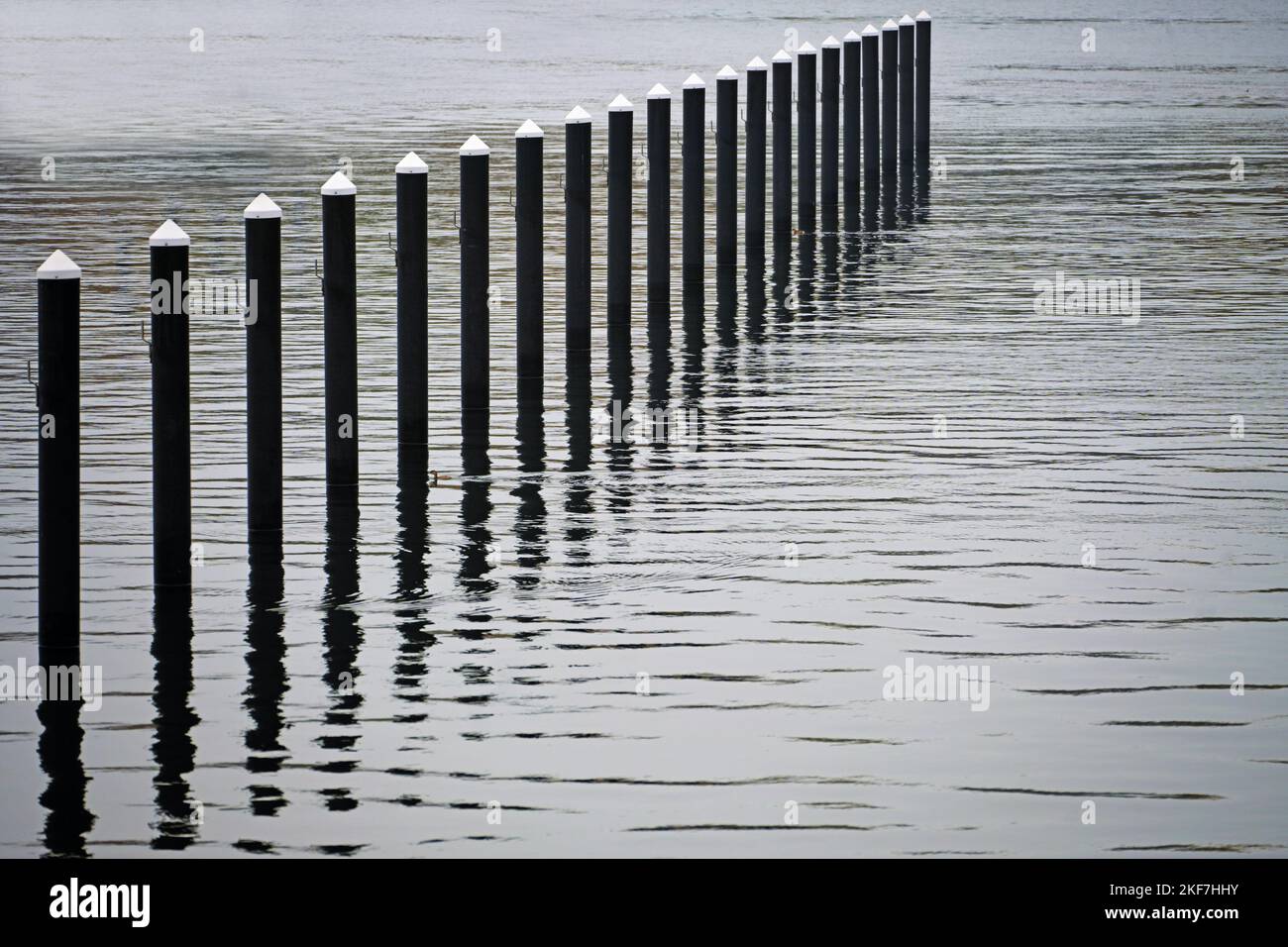 Pali neri di ormeggio o delfini dal cemento in acqua, fine della stagione in un porto yacht vuoto sul Mar Baltico in una grigia giornata di novembre, vicino Foto Stock