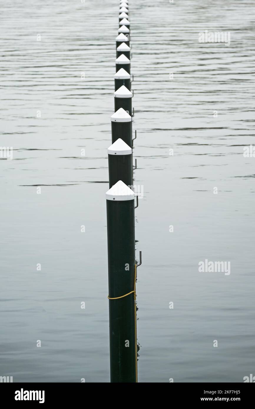 Fila di pali o delfini neri in acqua, porto di yacht vuoto sul Mar Baltico in un giorno grigio di novembre, immagine astratta, quasi monocromatica, c Foto Stock