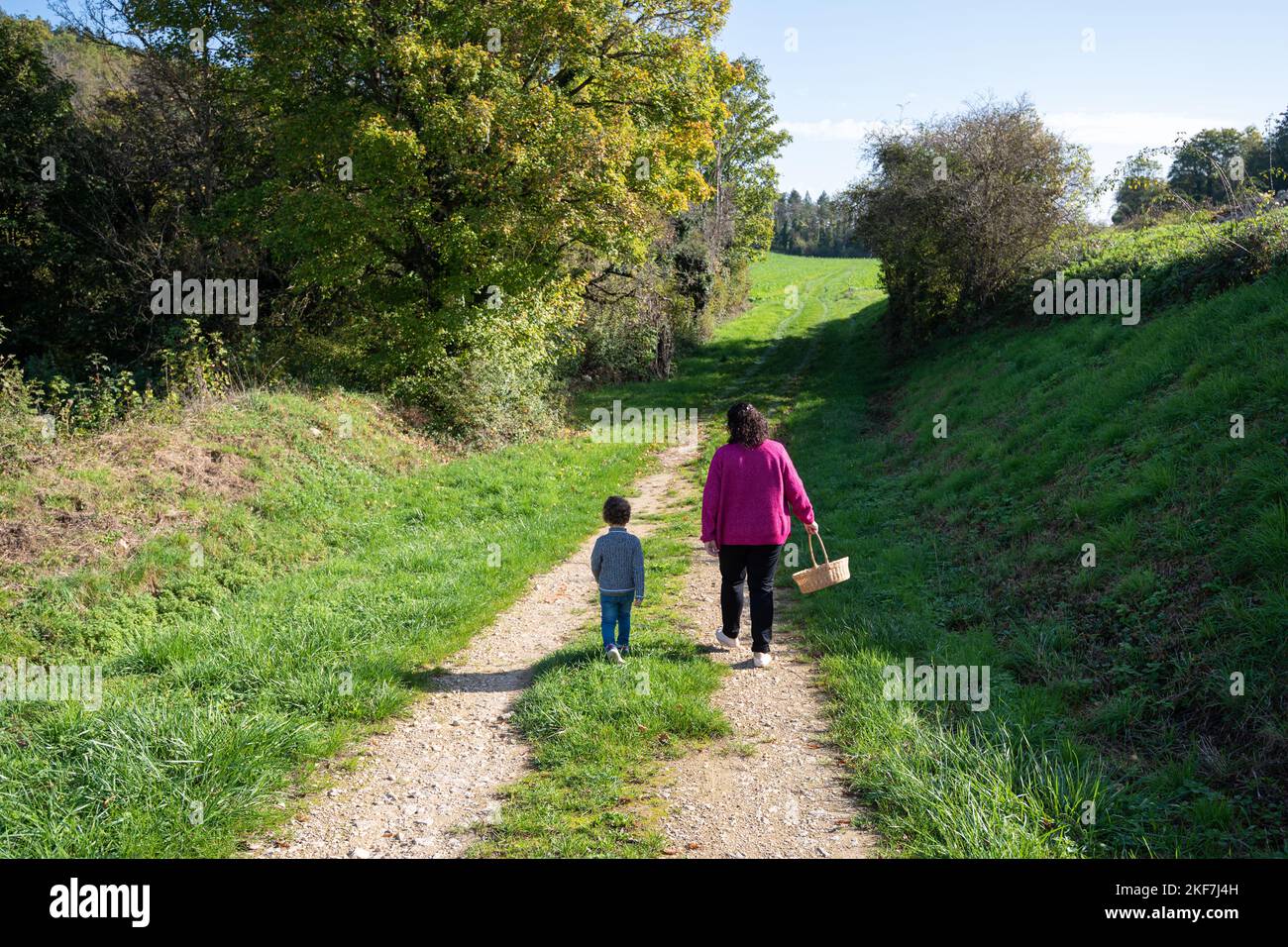 Una madre che tiene un cesto di vimini e il bambino che cammina su un sentiero in campagna, alla ricerca di funghi, in una bella giornata di sole. Foto Stock