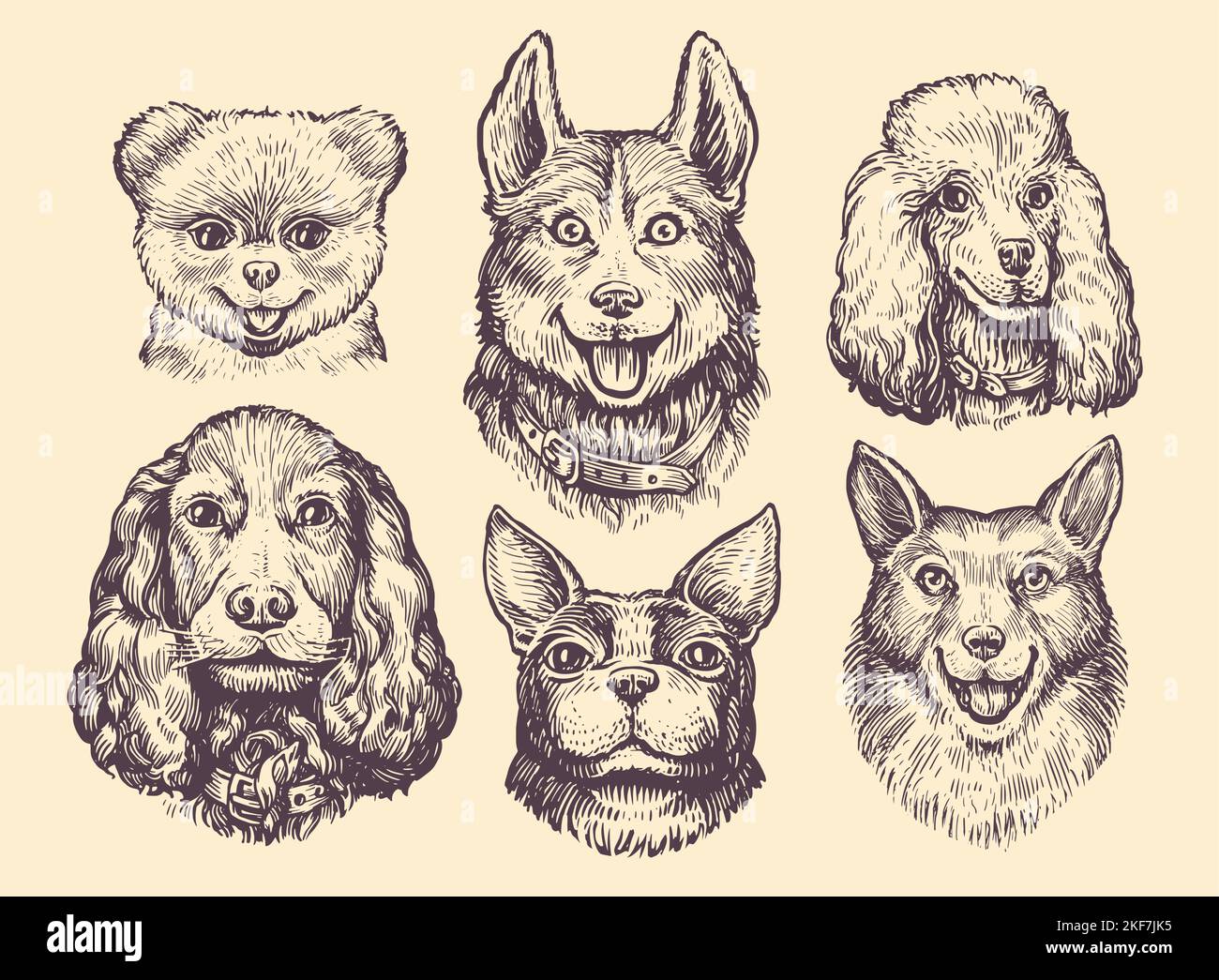Razze popolari di cani sketch set. Carino cane o cucciolo caratteri design collezione. Illustrazione del vettore degli animali da compagnia divertente Illustrazione Vettoriale