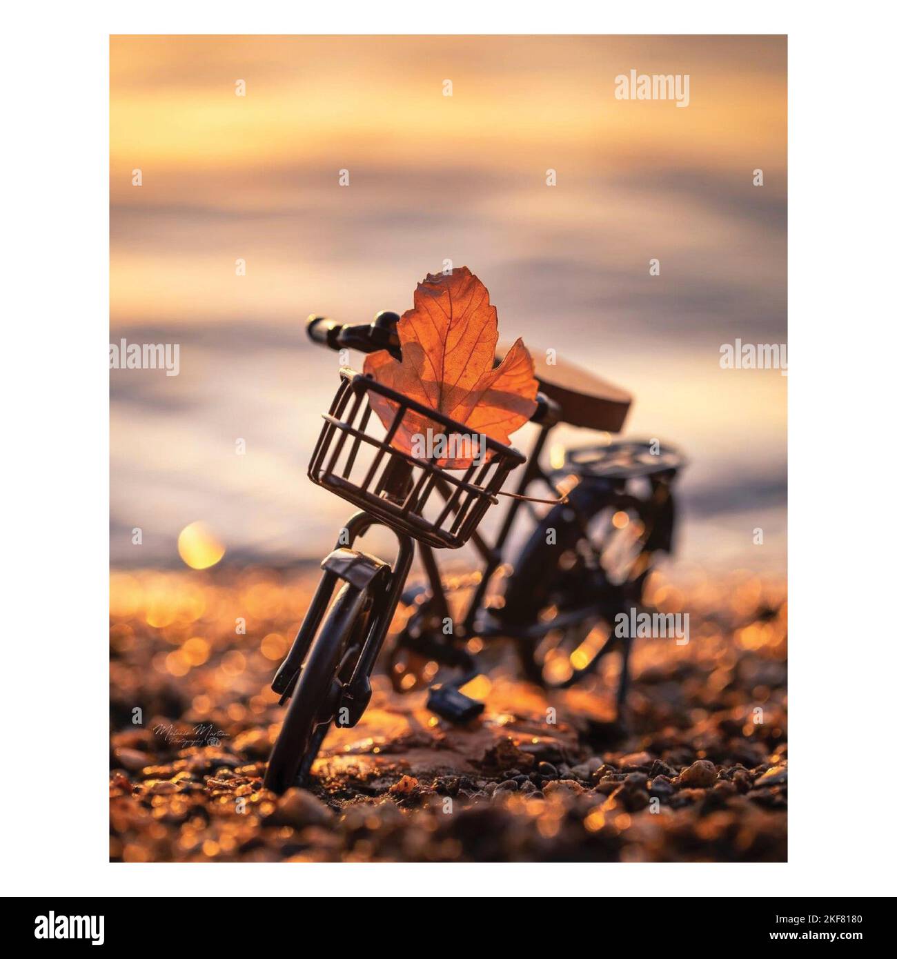 Bicicletta, mini, foto, e foglia geometrica semplice vettore Illustrazione Vettoriale