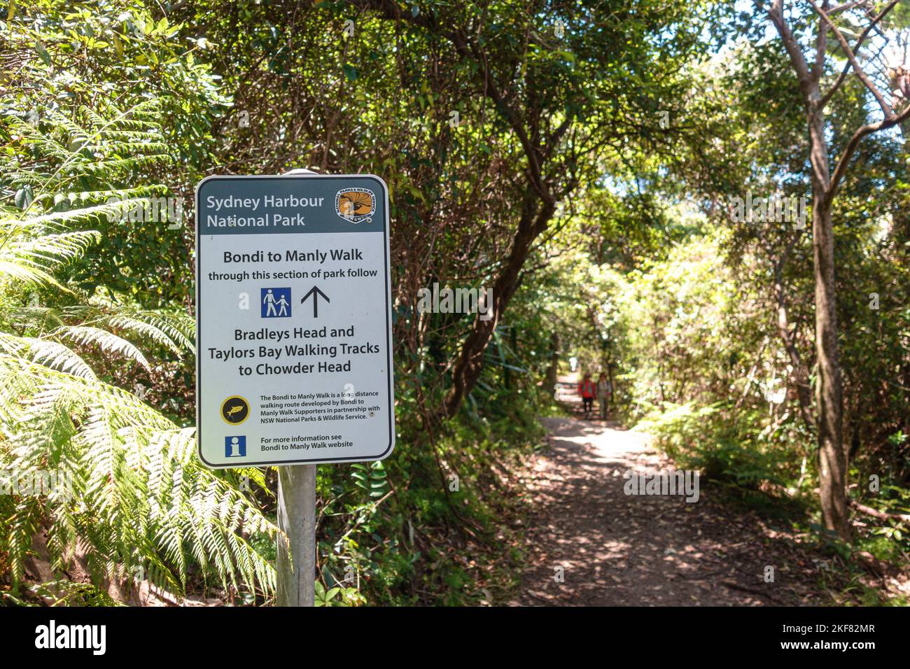 La sezione Bradleys Head Walking Track del Bondi to Manly Walk nel Sydney Harbour National Park, Australia Foto Stock