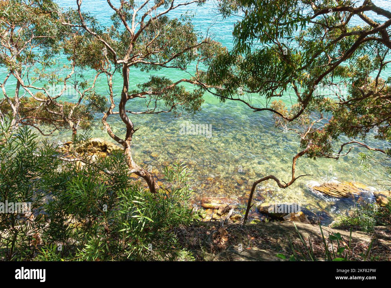 Le acque limpide di Port Jackson viste dal percorso a piedi Bradleys Head nel Parco Nazionale del Porto di Sydney Foto Stock