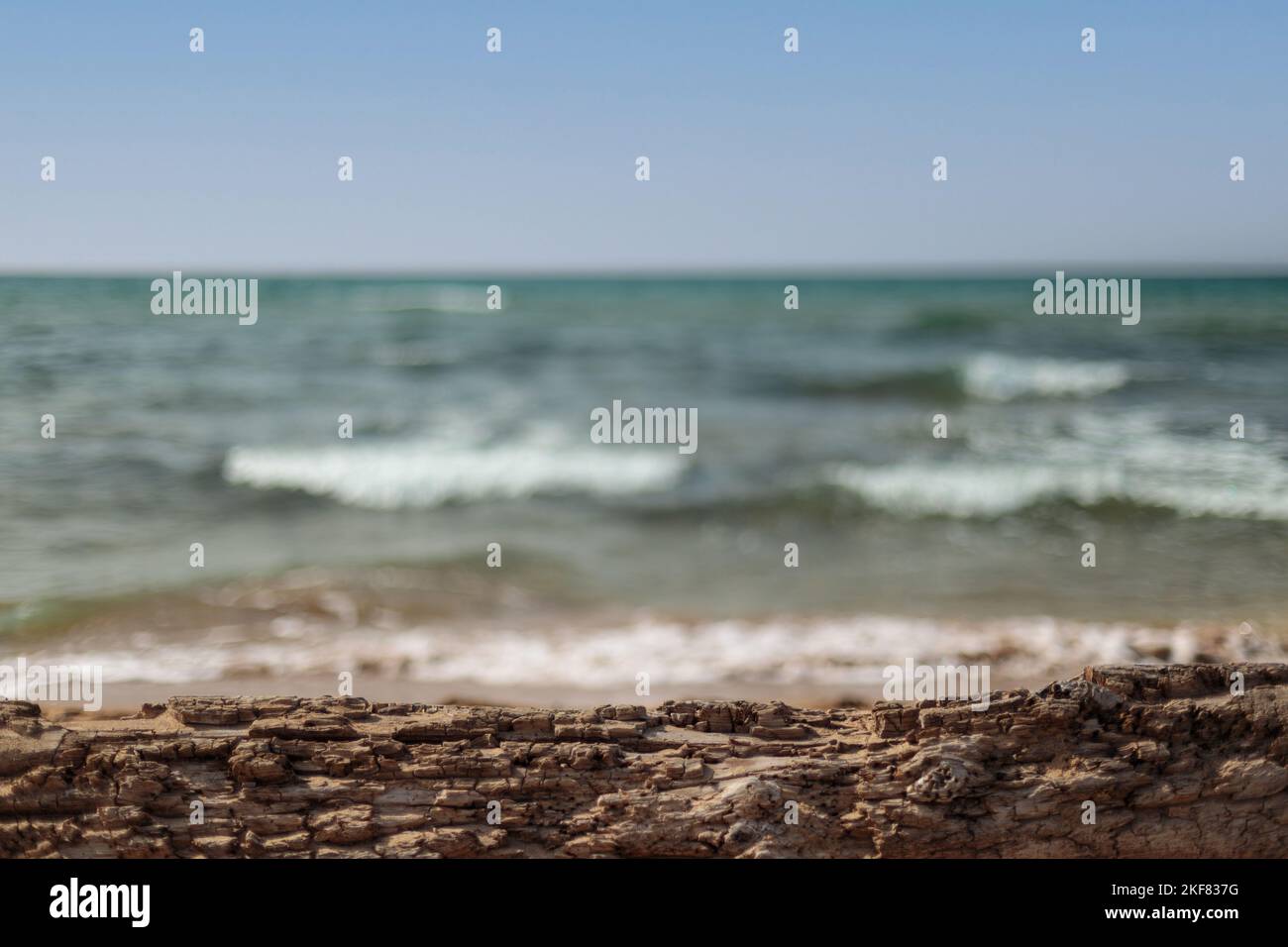 Simulazione per l'inserimento della confezione del prodotto. Sfondo naturale, spiaggia e legno di tronchi. Foto Stock