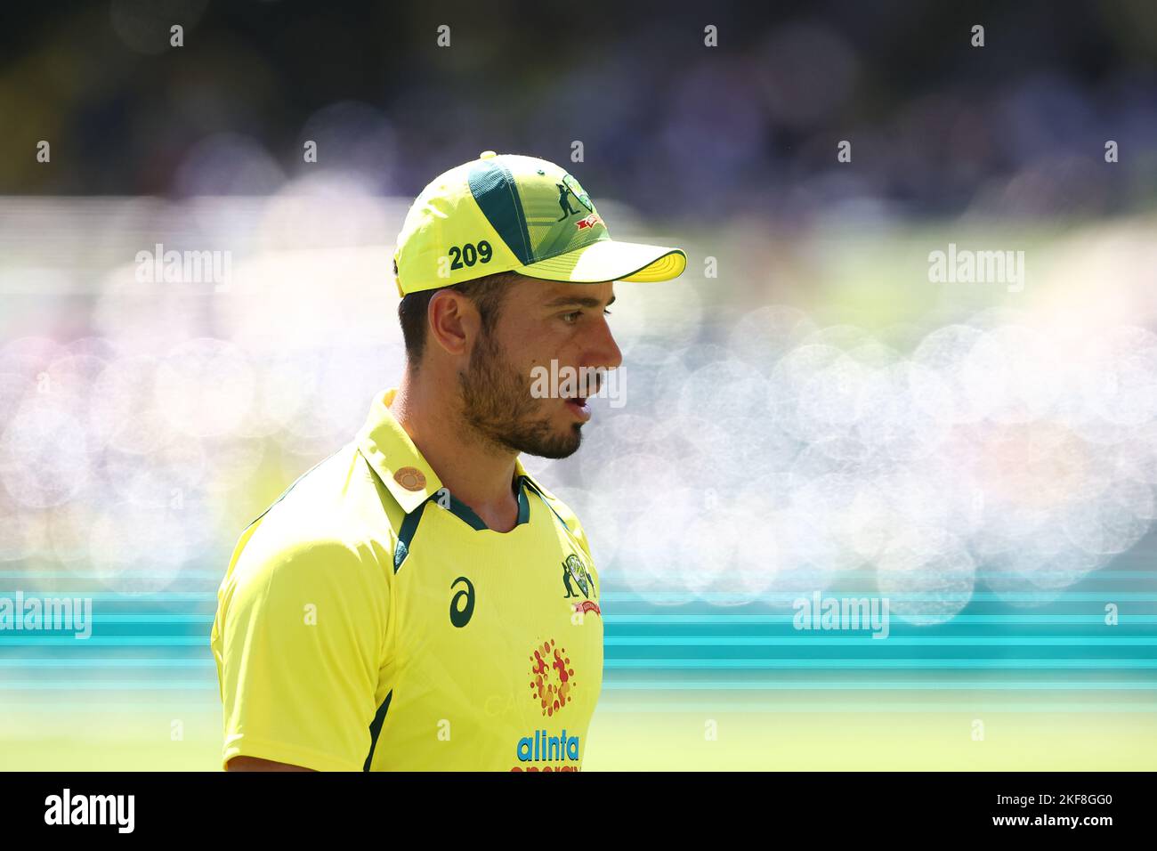 Marcus Stoinis of Australia guarda avanti durante la partita della Dettol ODI Series Australia vs Inghilterra ad Adelaide Oval, Adelaide, Australia. 17th Nov 2022. (Foto di Patrick Hoelscher/News Images) ad Adelaide, Australia, il 11/17/2022. (Foto di Patrick Hoelscher/News Images/Sipa USA) Credit: Sipa USA/Alamy Live News Foto Stock