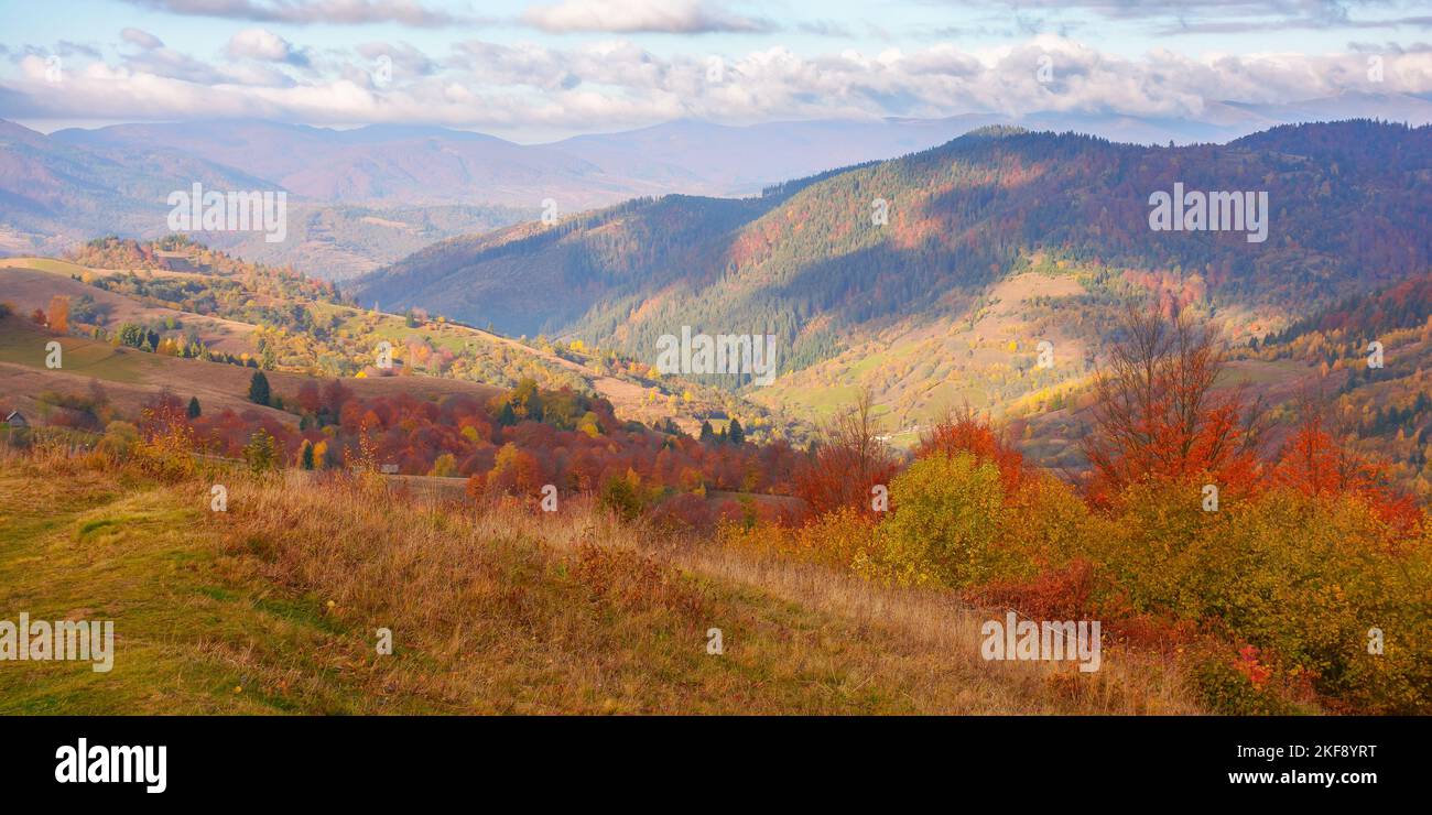 bellissimo paesaggio di montagna con valle. mattina di sole nella campagna carpazia. alberi in fogliame colorato e campi rurali sulle colline Foto Stock