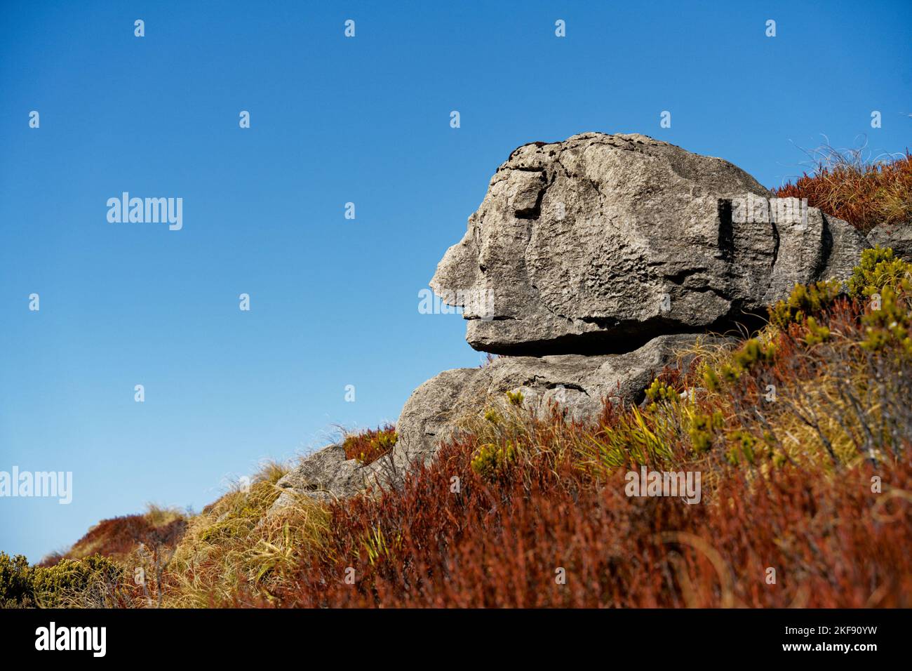 Sfinge Rock vicino al rifugio Luxmore sulla pista Kepler. Fiordland National Park, Southland, South Island, Aotearoa / Nuova Zelanda. Foto Stock