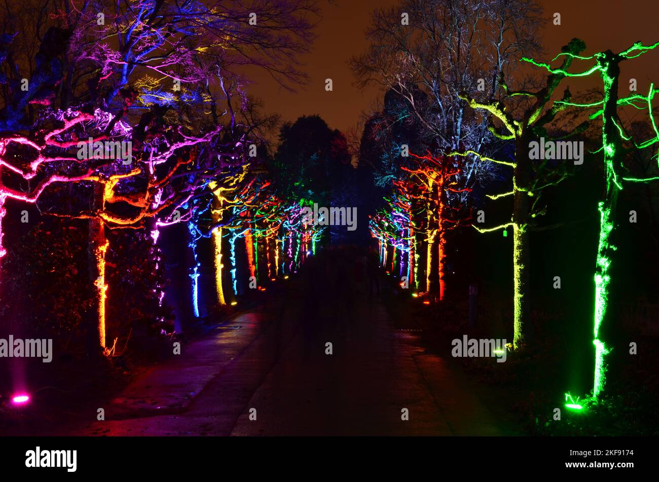Spettacolo di luci Parco alberi illuminati colorfull evento grugapark Essen Foto Stock