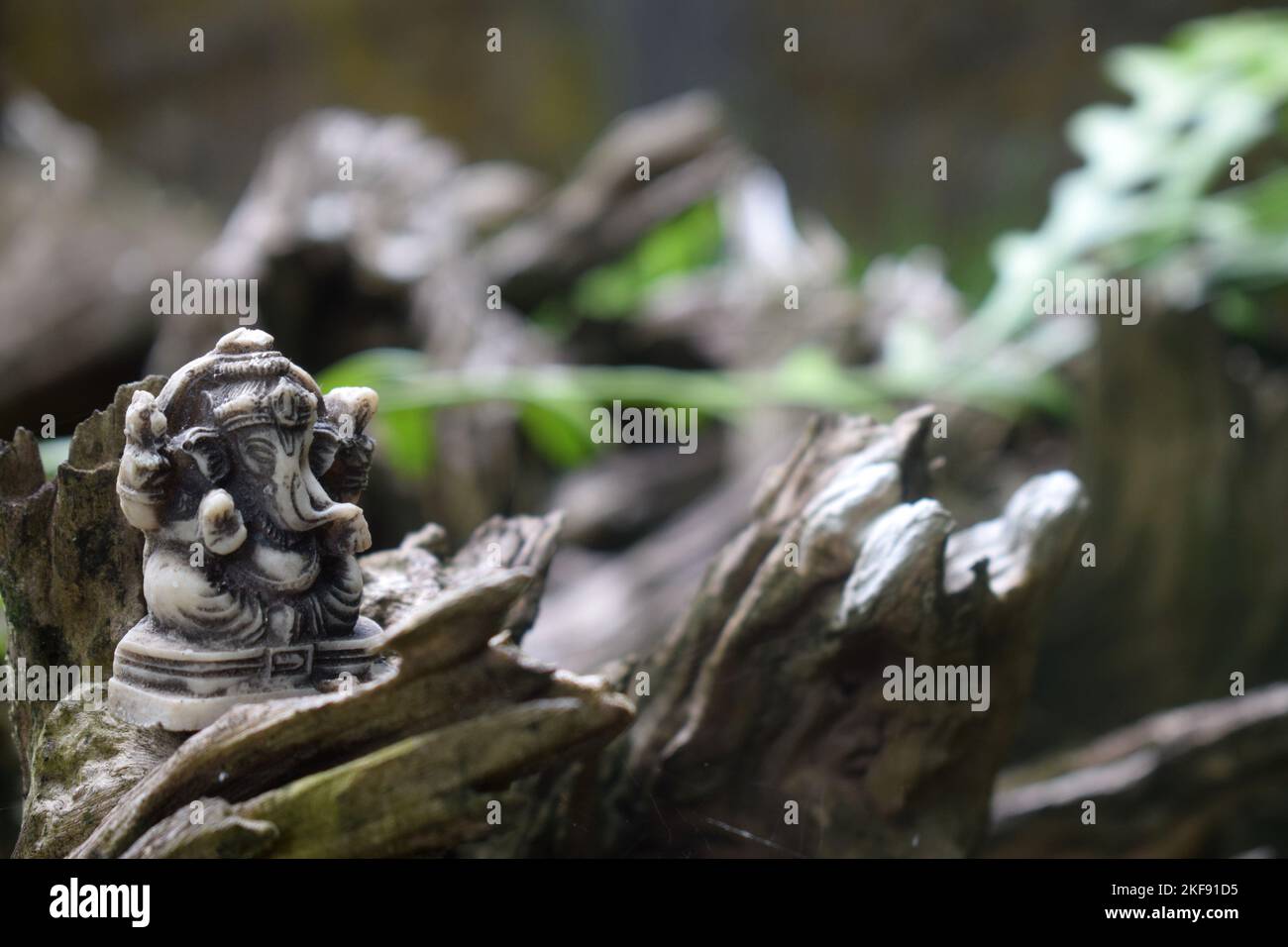 Queste sono le foto scattate con la fotocamera Nikon. Le immagini includono la sposa di Homecoming dello Sri Lanka, il modello della torta di nozze e la statua del Signore Ganesha. Foto Stock