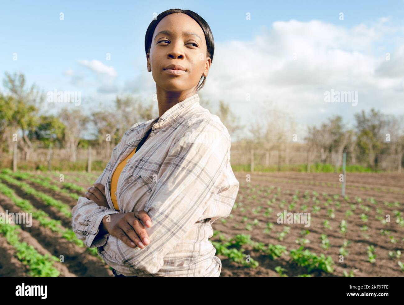 Contadino, donna nera e orgoglio per le piante, le verdure e il sorriso per la crescita, file o giardino comunitario. Agricoltura, donna orgogliosa o seghe per l'eco Foto Stock