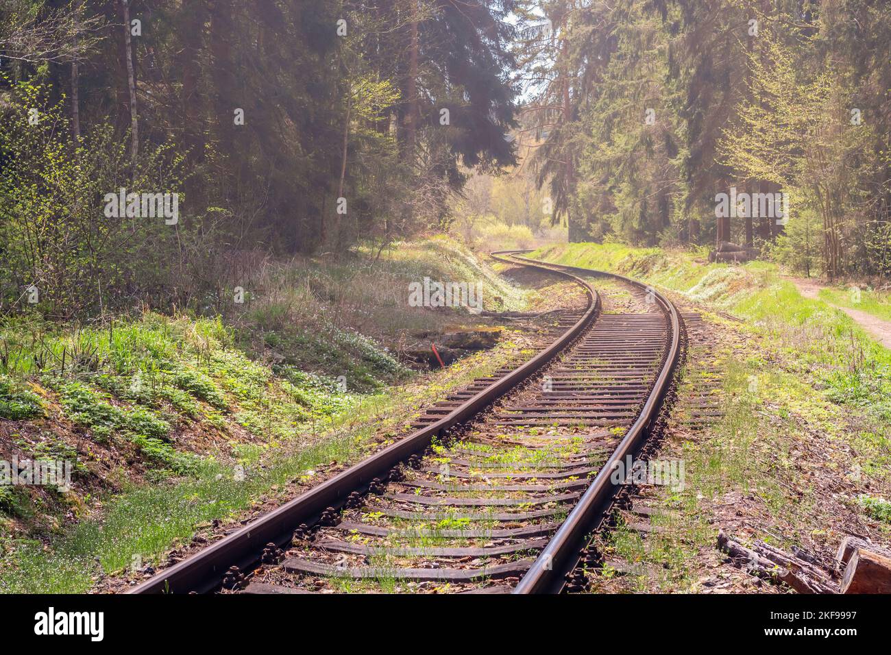 ferrovia - i binari del treno si snodano intorno alle curve attraverso la foresta Foto Stock