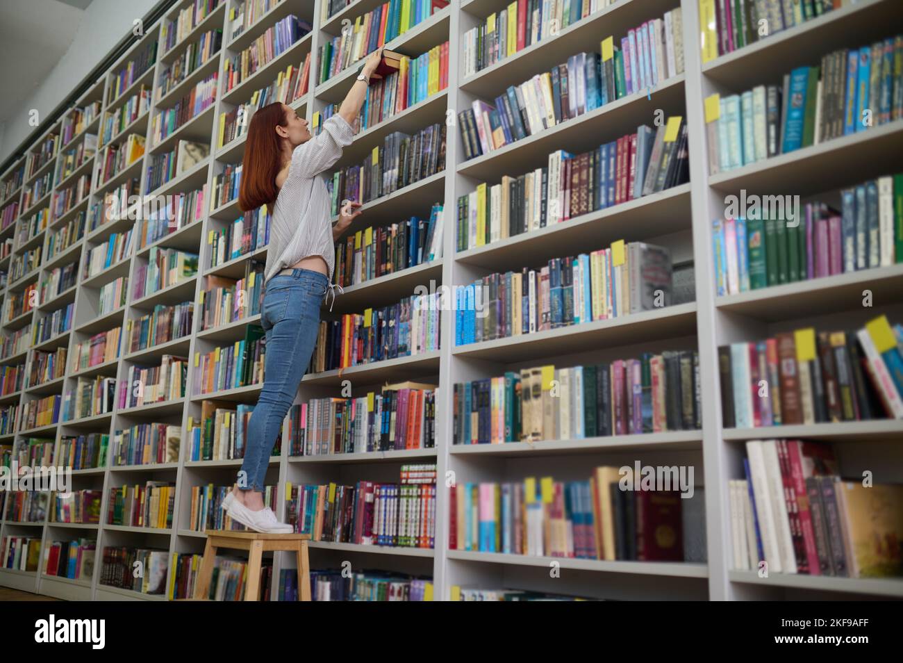 Giovane bibliotecario alla ricerca di un libro su scaffali Foto Stock