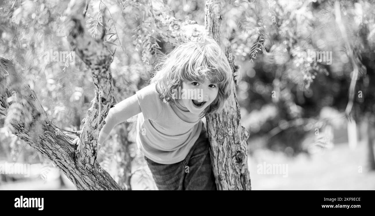 Felice ragazzo energico salire albero estate all'aperto, tree climbing Foto Stock