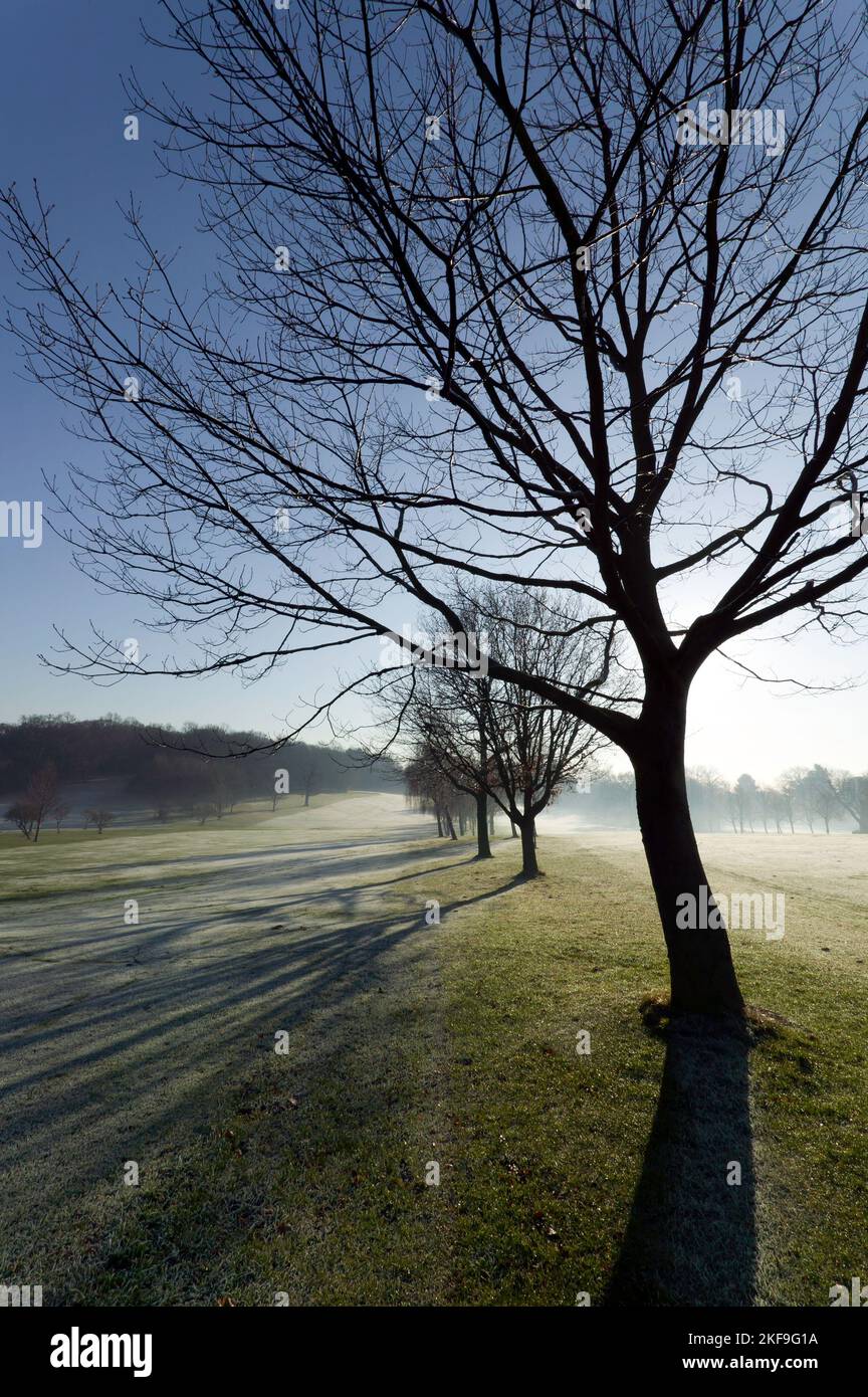Frost sul campo da golf al Beckenham Place Park, Lewisham Foto Stock