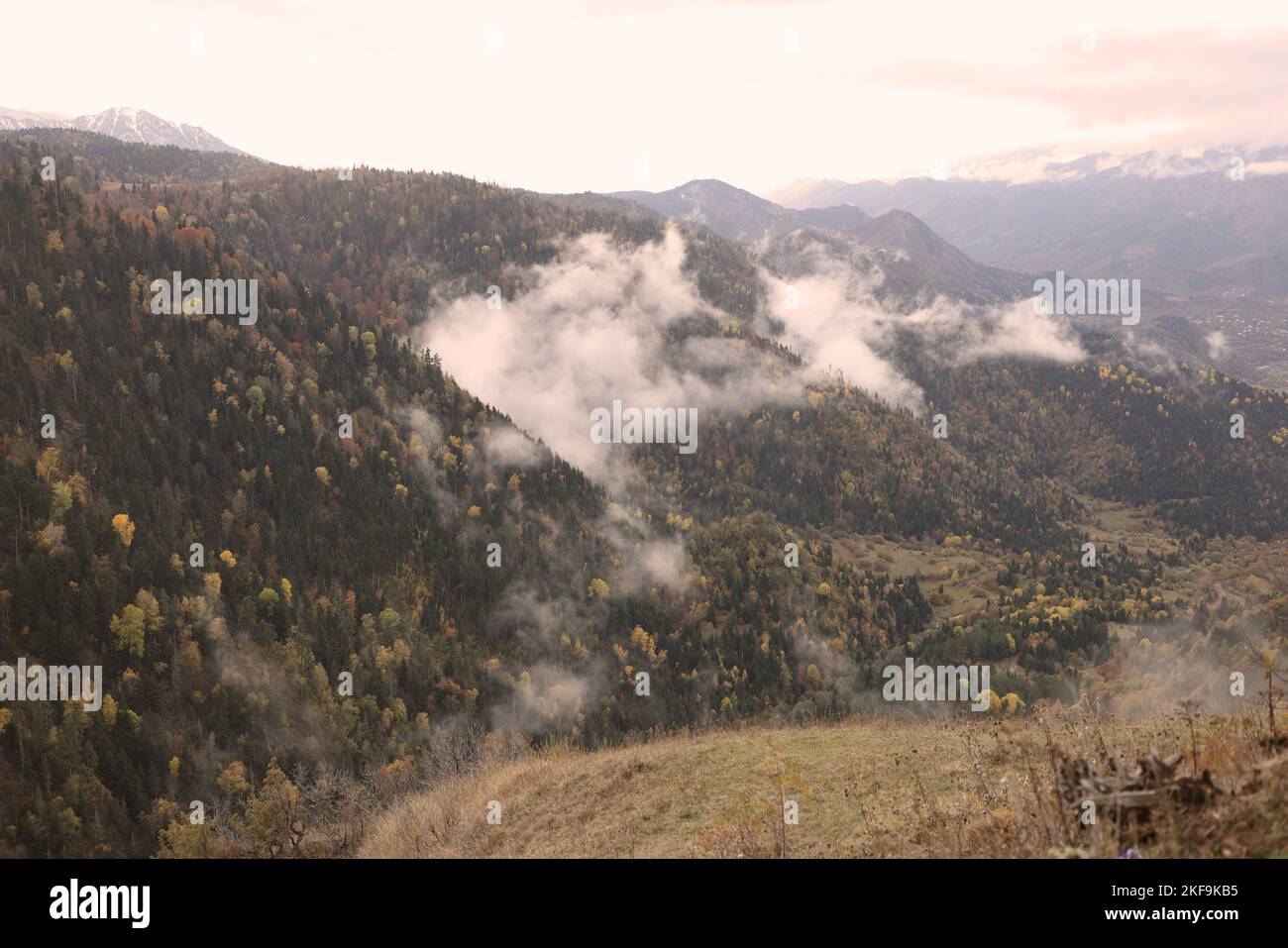Bellissimo paesaggio con montagne nebbiose e foresta. Foto Stock