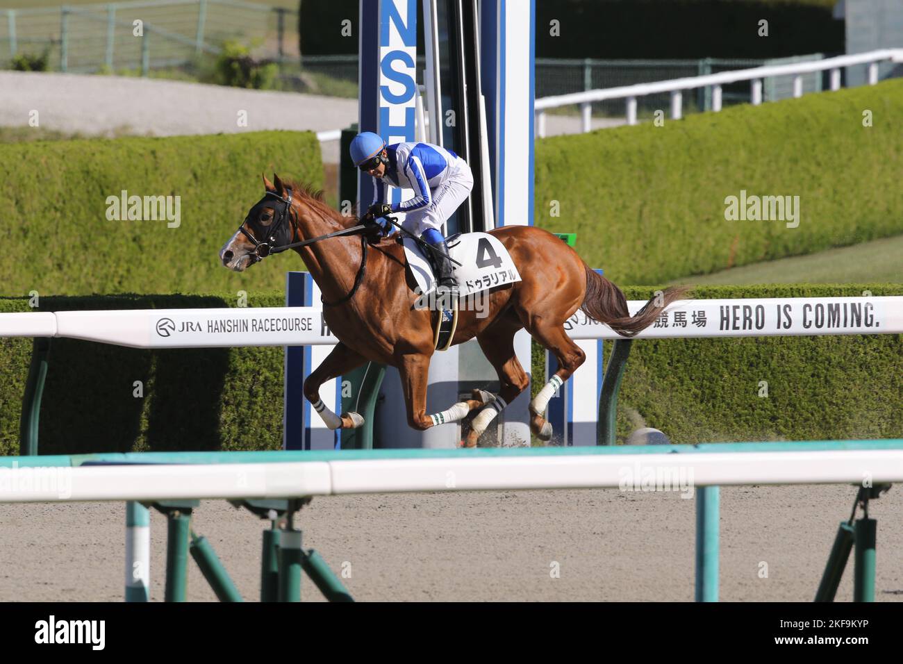 Hyogo, Giappone. 6th Nov 2022. Dura Real e Yasunari Iwata vincono l'Hanshin 1R all'ippodromo di Hanshin a Hyogo, Giappone, il 6 novembre 2022. Credit: Eiichi Yamane/AFLO/Alamy Live News Foto Stock