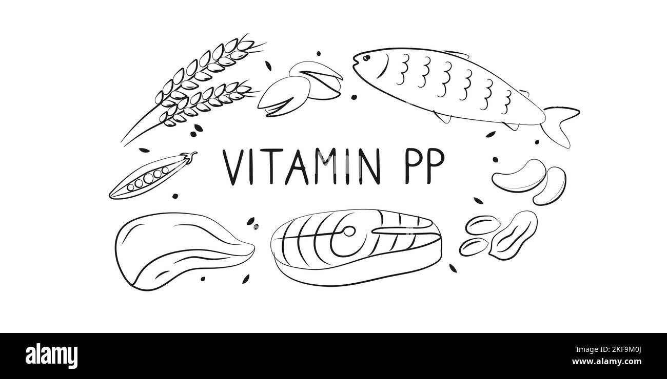 Vitamina B3 niacinamide Vitamina PP niacina nicotinamide. Gruppi di prodotti sani contenenti vitamine. Set di frutta, verdura, carni, pesce e. Illustrazione Vettoriale